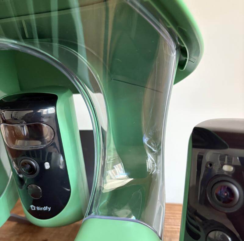 Birdfy Feeder 2 Duo Review: Innovative Birdwatching Experience with Dual-Camera Innovation 8 birdfy duo review8 Birdfy Feeder 2 Duo Review: Innovative Birdwatching Experience with Dual-Camera Innovation