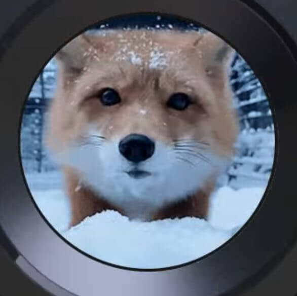 CleanShot 2025 09 03 at Corsair Nautilus 360 RS LCD Review – High-Performance Cooling with a Personal Touch