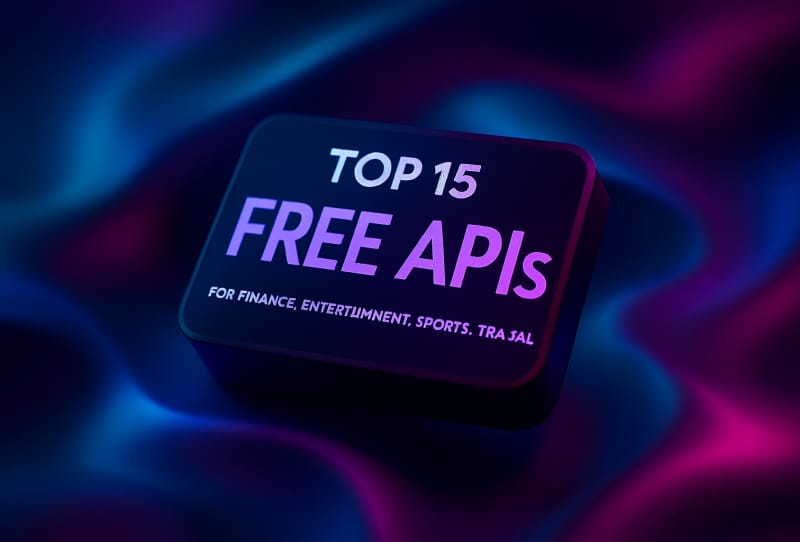Developer sending an API request in a free API testing tool on a laptop screen