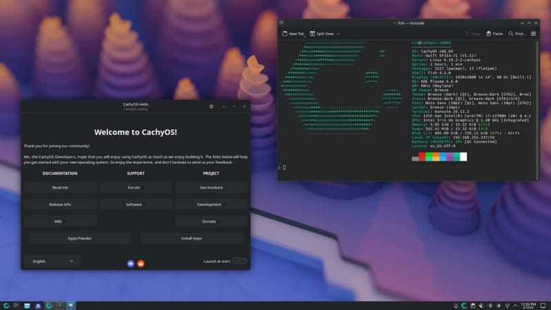 CachyOS Becomes One of the First Distros to Support EAC Linux V2 2 CachyOS desktop showing terminal, representing the new EAC Linux V2 kernel support for Linux gaming