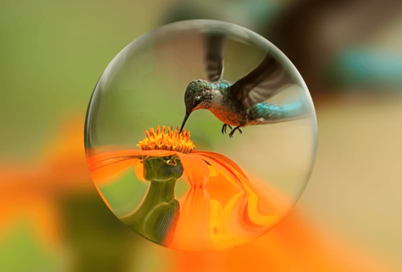 Screen showing the Genie 4 world model generating a photorealistic interactive scene