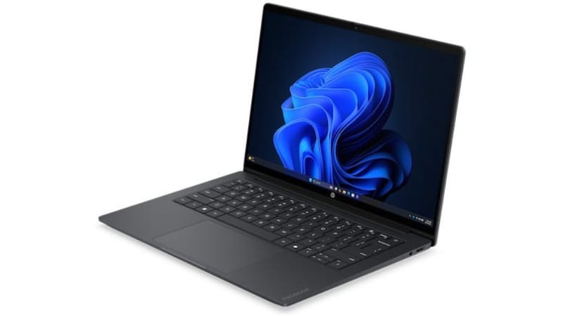 HP OmniBook 5 laptop in four colours showing its thin OLED display and aluminium chassis